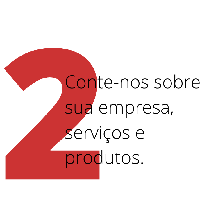 2 Conte-nos sobre sua empresa, serviços e produtos.