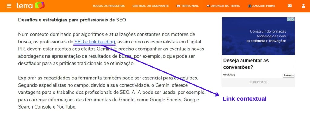 backlink contextual da experta no terra